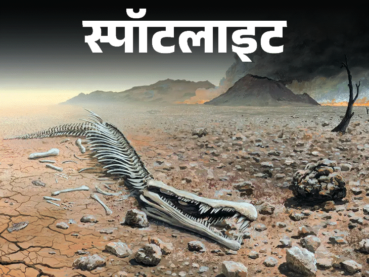 Mass Extinction (BIG FIVE) Events Timeline; Dinosaurs, Animals, Plants