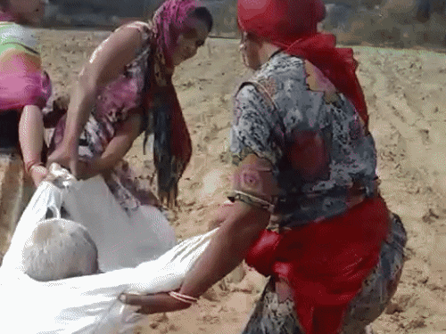 गिरफ्तार ट्रेनी SI के वीडियो का फैक्ट चेक: छह साल पहले बाबा के भाई को पीटा, बाल सुधार गृह में भी रही - Sanchore News