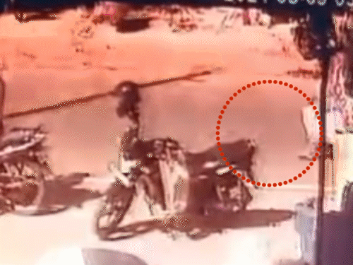 जमुई में बस ने महिला को कुचला..मौत का लाइव वीडियो: एक घंटे तक बस के चक्के में फंसी रही मृतका, ड्राइवर-कंडक्टर मौके से फरार​​​​​​​ - Jamui News