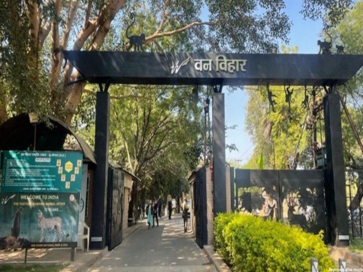 एक हफ्ते में तीन दिन बंद रहेगा...: होली के बाद रंगपंचमी पर भी बंद रहेगा वनविहार - Bhopal News