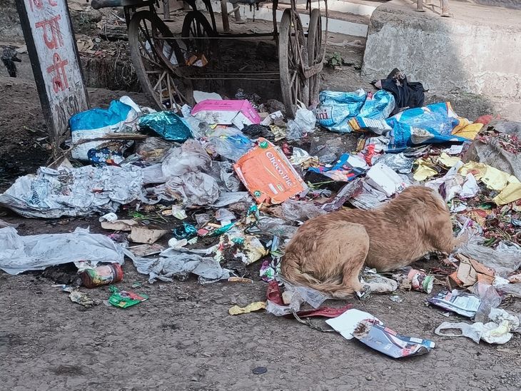 Piles of garbage everywhere in the city | शहर में जगह-जगह कचरे के ढेर ...
