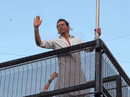 Shahrukh Khan got here to present Eidi to his followers | फैंस को ईदी देने आए सलमान और शाहरुख: सुबह से नजर गड़ाए बैठे थे प्रशंसक; दोनों स्टार्स ने नहीं किया निराश