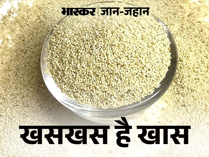 Khus Khus (Poppy Seeds) Health Benefits; How To Gain Weight दुबले