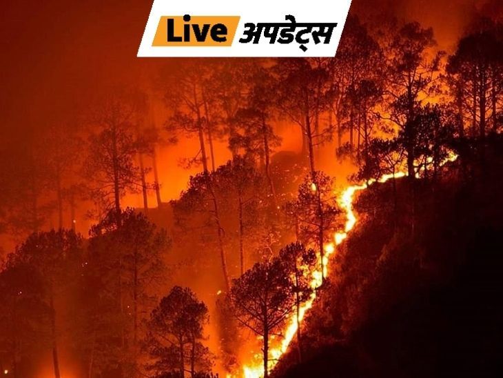 Breaking News Live Updates; Uttarakhand Dehradun | Delhi Mumbai News | लाइव अपडेट्स: उत्तराखंड पुलिस ने जंगल में लगी आग को भड़काने वाले तीन युवक गिरफ्तार किए