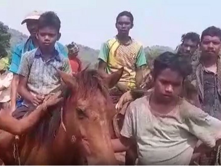 Andhra Pradesh Lok Sabha Election Adivasi Protest Update | Visakhapatnam | विशाखापट्टनम में सड़क के लिए घोड़े पर प्रदर्शन: आदिवासी बोले- चुनाव से पहले ट्रांसपोर्टेशन की व्यवस्था करें, नहीं तो वोटिंग का बहिष्कार करेंगे