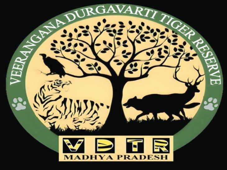 Two tigresses and one tiger dominate the safari zone of the Tiger Reserve