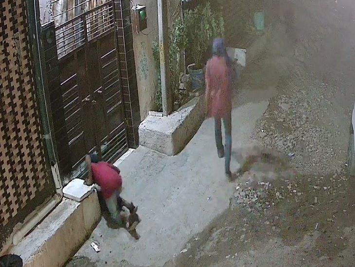 लुधियाना में पड़ोसी के गेट से घर में घुसे चोर,VIDEO: सोया रहा परिवार, चार्जिंग पर लगा मोबाइल और कपड़ों से नगदी चोरी - Ludhiana News