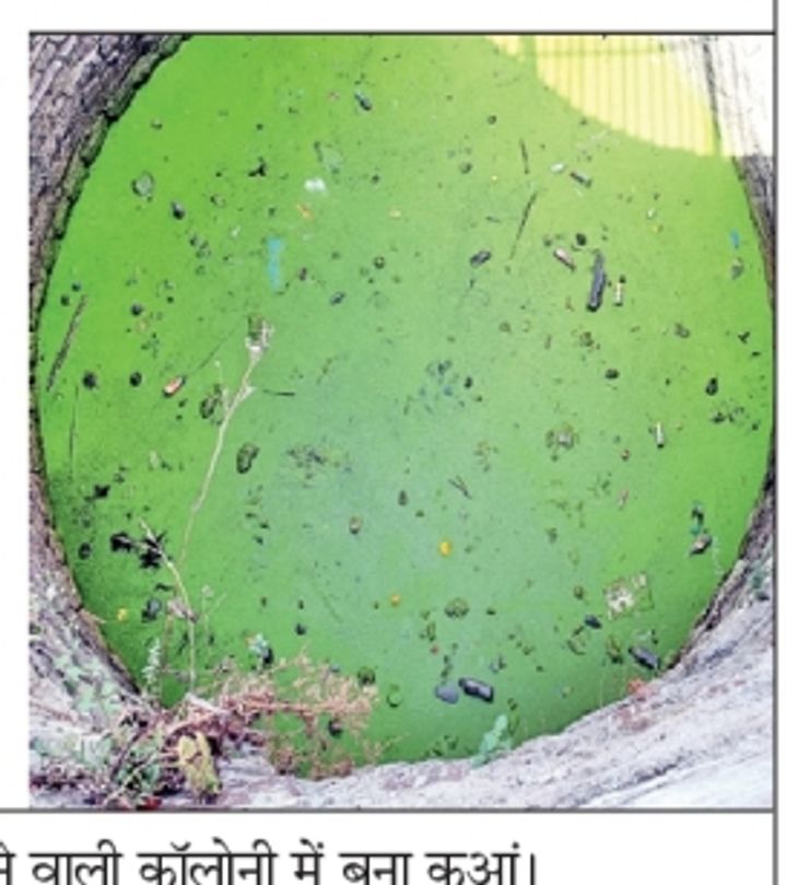 The well in the colony is not cleaned, water has turned green, garbage ...