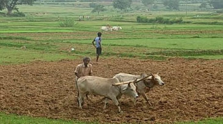 Rohini nakshatra is over, not even 5% of farmers have sown seedlings in ...
