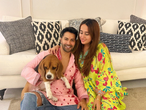Varun Dhawan Shifting New Home with New child Child | Bollywood Information | बेटी के साथ नए घर में शिफ्ट होंगे वरुण-नताशा: एक्टर ने किराए पर लिया ऋतिक रोशन का अपार्टमेंट, अक्षय और साजिद नाडियाडवाला बनेंगे पड़ोसी