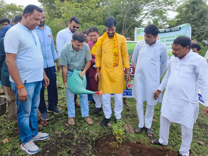 One tree in the name of mother: Collector and Municipal President ...