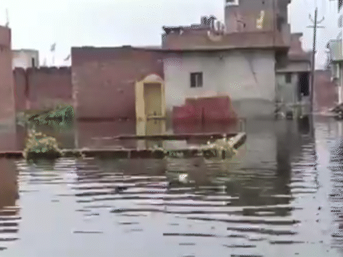 36% more rain than normal in UP | यूपी में सामान्य से 36% ज्यादा बारिश: आज 10 जिलों में भारी बारिश का अलर्ट, मुरादाबाद में मुहल्लों में चली नाव – Varanasi News