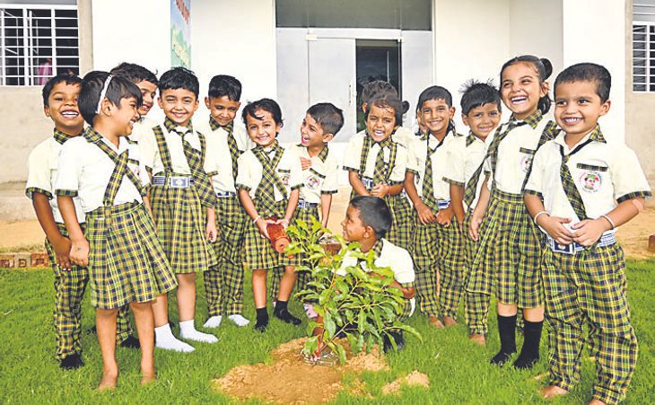 Planted trees in Subhash Junior Paradise | सुभाष जूनियर पैराडाइज में ...