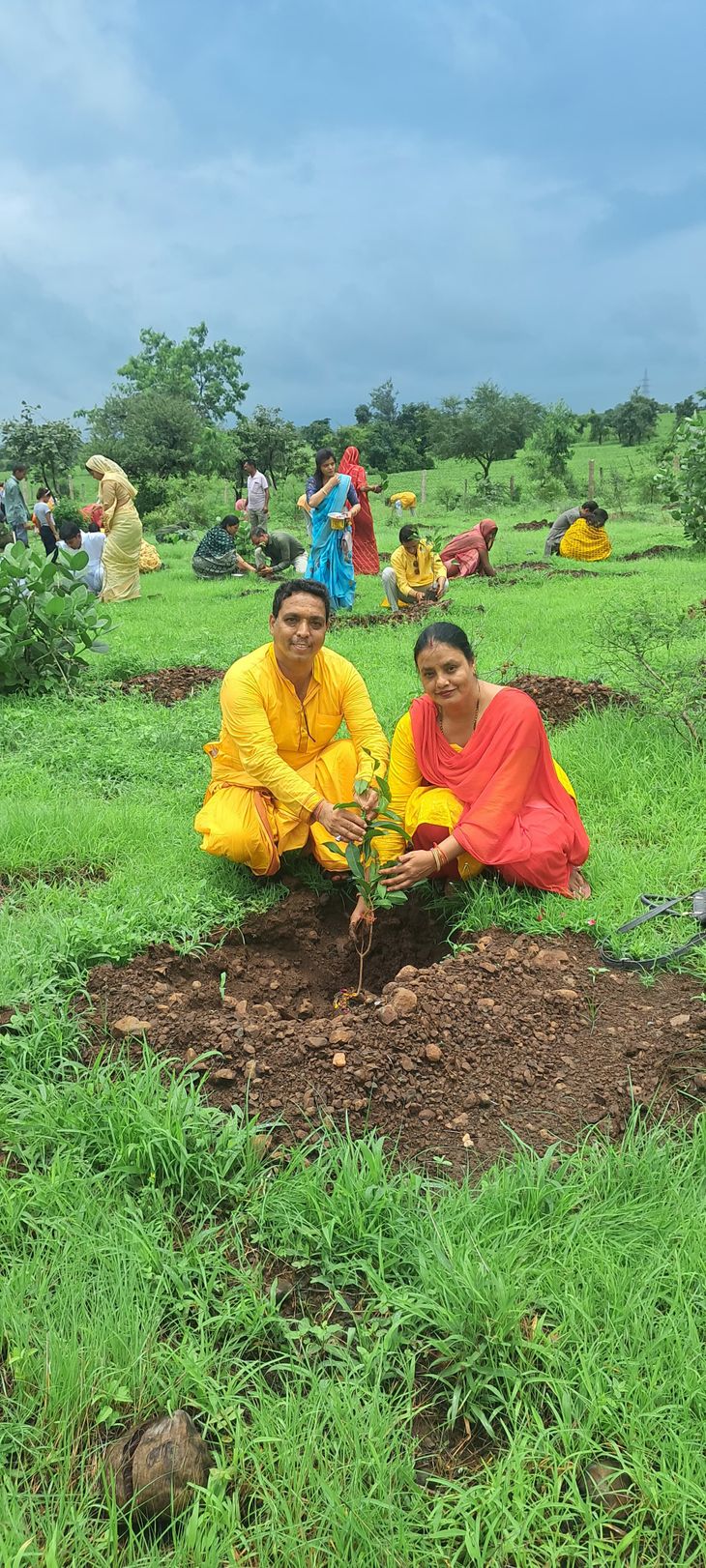 Trees are a valuable asset of nature