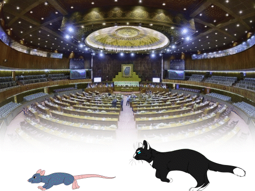 Pakistan Parliament Rat Problem Vs Hunting Cats; CDA Rs 12 Lakhs Budget | पाकिस्तानी संसद में चूहों का आतंक, जरूरी फाइलें कुतरीं: इन्हें पकड़ने के लिए शिकारी बिल्लियां खरीदी जाएंगी, 12 लाख का बजट पास