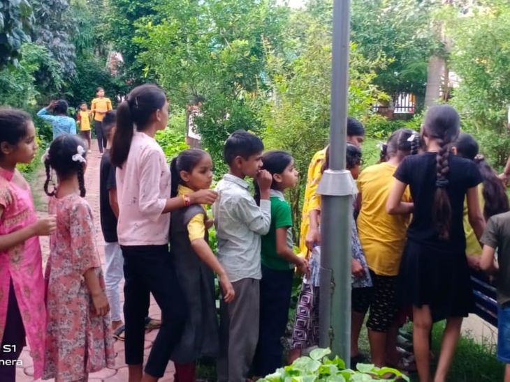 Raksha Sutra tied to trees in Indore | इंदौर में पेड़ों के बांधे रक्षा ...