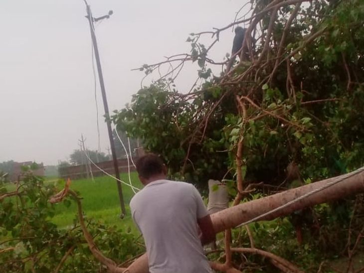 A tree fell on 1000 high tension wire in Nadwasrai