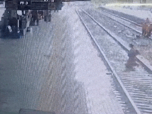 Maharashtra Jalgaon Railway Station Video Footage | Jalgaon News | पटरी पार कर रही महिला को बचाया, VIDEO: प्लेटफॉर्म पर चढ़ते वक्त ट्रेन से टकराई, जवान ने खींचकर जान बचाई