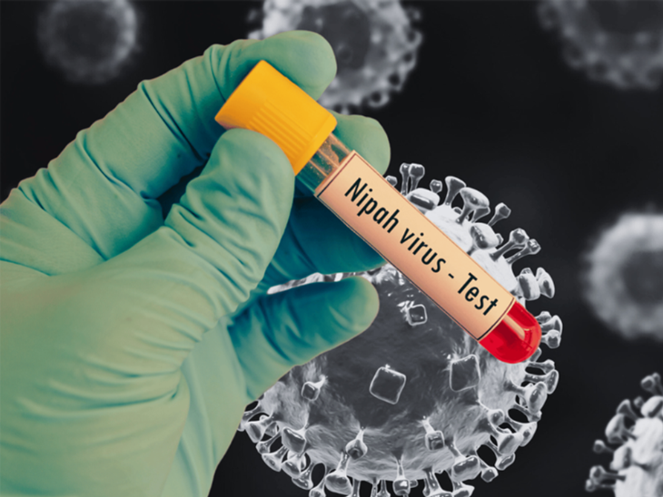 Kerala Nipah virus crisis government imposed lockdown like restrictions detailed news | केरल के मलप्पुरम में लॉकडाउन जैसे प्रतिबंध: निपाह वायरस से मौत के बाद 126 लोगों को आइसोलेट किया, कंटेनमेंट जोन बनाए