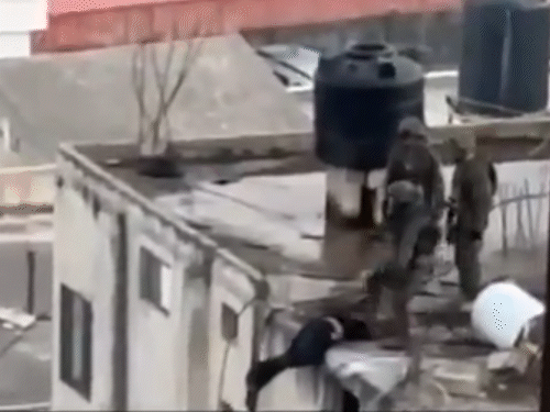 Israeli Soldier Viral Video; West Bank – Palestinians | Qabatiya | इजराइली सैनिकों ने बिल्डिंग से फिलिस्तीनियों के शव फेंके, VIDEO: पैर से धकेलकर गिराया; इजराइली आर्मी बोली- यह हमारे उसूलों के खिलाफ, जांच करेंगे
