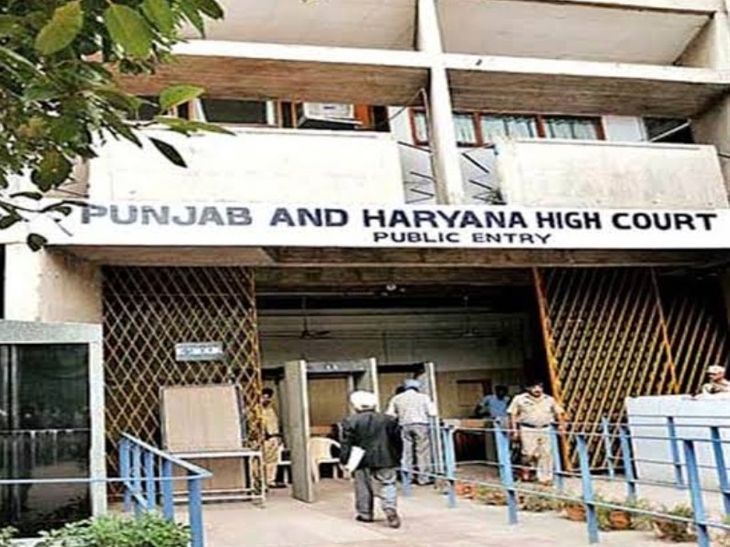 chandigarh Punjab and Haryana High Court order Mother rights children | तलाक के बाद भी बच्चों पर मां का अधिकार: पंजाब एंड हरियाणा हाईकोर्ट का आदेश, कहा- लिव-इन रिलेशनशिप का कोई प्रभाव नहीं – Chandigarh News