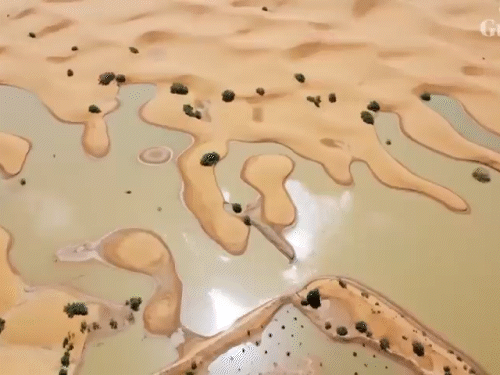 Sahara desert flooded after 50 years | सहारा रेगिस्तान में बाढ़, PHOTOS: 50 साल से सूखी झील में पानी भरा, ​​​​​​​मोरक्को में 2 दिन में सालभर की बारिश हुई