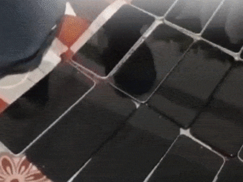 Bhaskar reached the office of ‘Digital Arrest’ racket | ‘डिजिटल अरेस्ट’ रैकेट के ऑफिस पहुंचा भास्कर: वडोदरा में 10 बाय 20 फीट के ऑफिस से चल रहा था रैकेट, चार ताईवानी समेत 18 अरेस्ट – Gujarat News