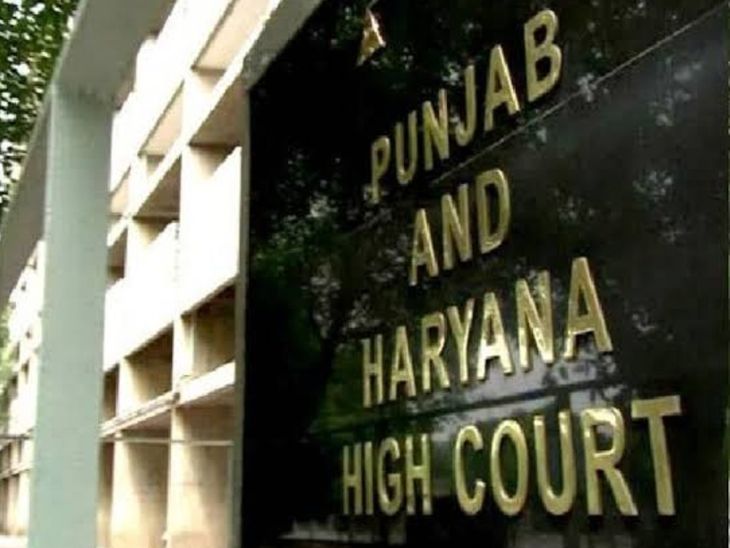 Haryana And Punjab High Court Permission for testimony on video call | हाईकोर्ट में वीडियो कॉल पर गवाही की अनुमति: अमेरिका से महिला ने कोर्ट में लगाई गुहार, संपत्ति पर कब्जे से जुड़ा है मामला – Chandigarh News