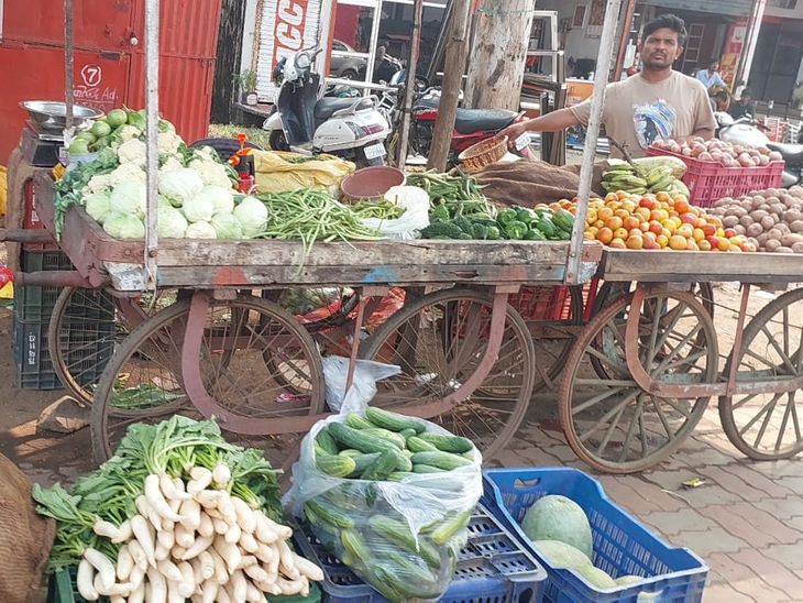 Vegetables are expensive in Seoni, salad is disappearing from the plate