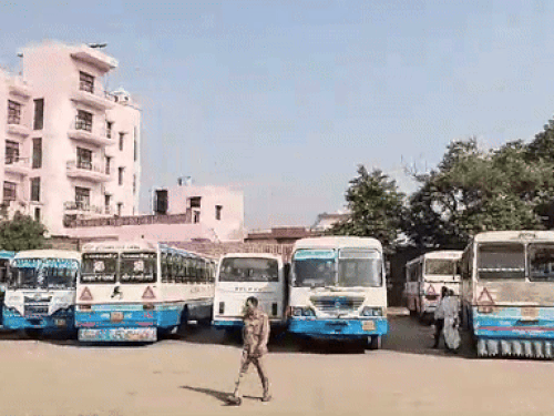 Haryana lease buses stopped operating Rajasthan viral video narnaul bus stand | ₹50 की टिकट को लेकर हरियाणा-राजस्थान आमने-सामने: राजस्थान जाने वाली बसों का संचालन बंद, चालान और इंपाउंड करने पर लिया फैसला – Haryana News