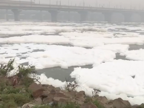 Delhi Chhath Puja Controversy; Yamuna River Pollution | High Court | दिल्ली में यमुना किनारे नहीं होगी छठ पूजा: हाईकोर्ट ने याचिका खारिज की, कहा- पानी बहुत ज्यादा प्रदूषित, इससे लोगों की सेहत बिगड़ेगी