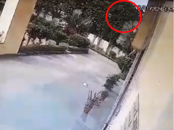 Case of student falling from the fourth floor of the school