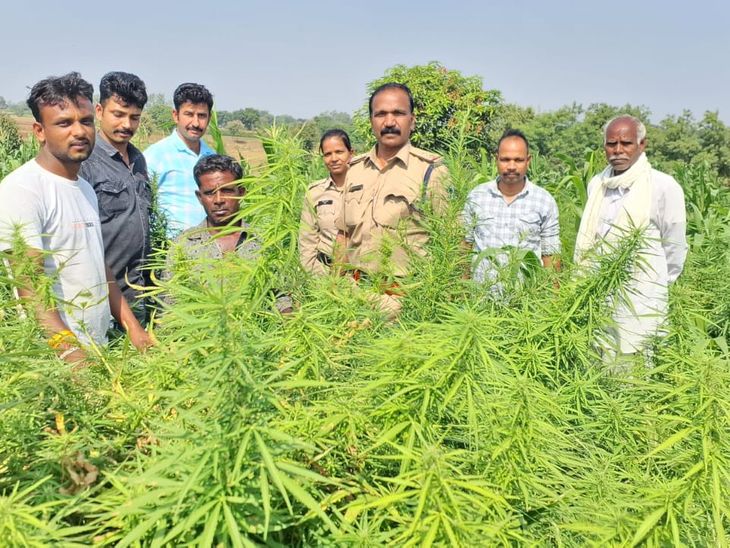 Big action by Rajod police