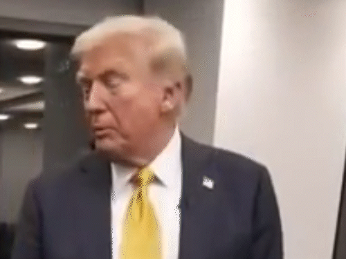 Donald Trump interview deport immigrants NATO exit consideration | ट्रम्प अवैध प्रवासियों को अमेरिका से निकालने पर कायम: कहा- पैदा होते ही US नागरिकता मिलने का अधिकार खत्म करूंगा, NATO छोड़ने का भी विचार