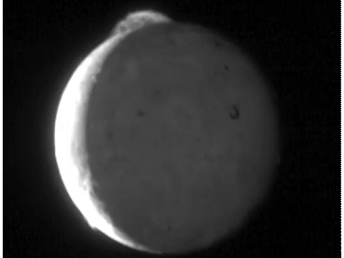 volcano erupts on jupiters Io moon NASA released the video More than 400 active volcanoes on it it is the highest in the solar system | बृहस्पति के चंद्रमा पर फटा ज्वालामुखी: नासा ने वीडियो जारी किया; इस पर 400 से ज्यादा सक्रिय ज्वालामुखी, ये सौरमंडल में सबसे ज्यादा