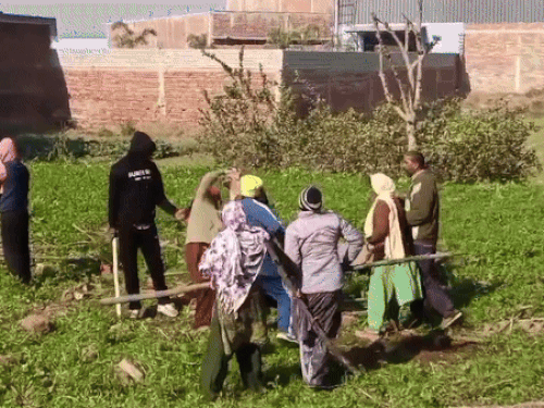 Gurdaspur Conflict between cousins ​​| Cousins ​​clash in Gurdaspur: Woman beaten with sticks, shot, five injured including two women – Gurdaspur News