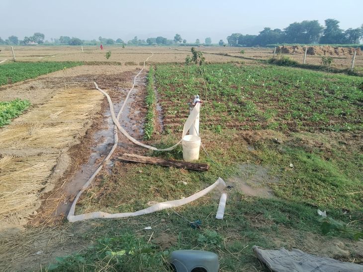 Due to the transformer of the agricultural feeder being out of order ...