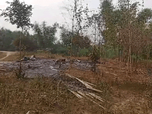 17 Christian houses burnt down in Bangladesh on Christmas | बांग्लादेश में क्रिसमस पर 17 ईसाइयों के घर जलाए: त्योहार मनाने पड़ोस के गांव गए थे, मौके का फायदा उठाकर उपद्रवियों ने आग लगाई
