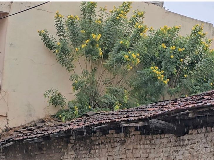 weather suddenly changed in multai | मुलताई में अचानक बदला मौसम: हल्की ...