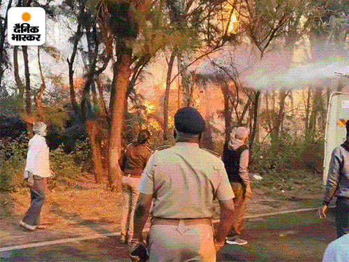 A huge fire broke out in Juri forest near Porbandar | पोरबंदर के पास जूरी के जंगल में लगी भीषण आग: फायर ब्रिगेड की टीम मौके पर, पोरबंदर-सोमनाथ राजमार्ग रतनपर से डायवर्ट – Gujarat News