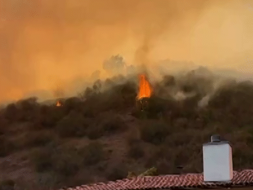 13 dead so far in California fire | कैलिफोर्निया की आग में अब तक 16 की मौत: हवा की रफ्तार बढ़ने से तेजी से फैल रही; मदद के लिए मैक्सिको से फायरफाइटर्स पहुंचे