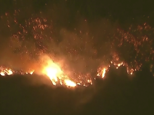 California Fire | US Los Angeles Wildfires Situation Photos Update | कैलिफोर्निया में आग से 24 की मौत: मृतकों में ऑस्ट्रेलियाई टीवी एक्टर भी शामिल, 7 दिन बाद भी आग पर काबू नहीं