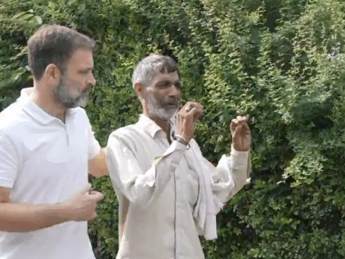Rahul Gandhi Vs PM Modi; Congress White T-Shirt Movement Update | राहुल गांधी का व्हाइट टी-शर्ट मूवमेंट शुरू: गरीबों के लिए न्याय की आवाज उठाएंगे; कहा- मोदी सरकार की गलत नीतियों से गरीब परेशान