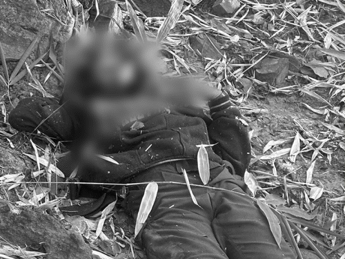 Chhattisgarh Odisha Border Naxal Encounter Video Updates | Gariaband | छत्तीसगढ़-ओडिशा बॉर्डर पर 15 नक्सली ढेर: 1000 जवानों ने 60 नक्सलियों को घेरा; ड्रोन से नजर रख रहे, सभी मारे जा सकते हैं – Chhattisgarh News