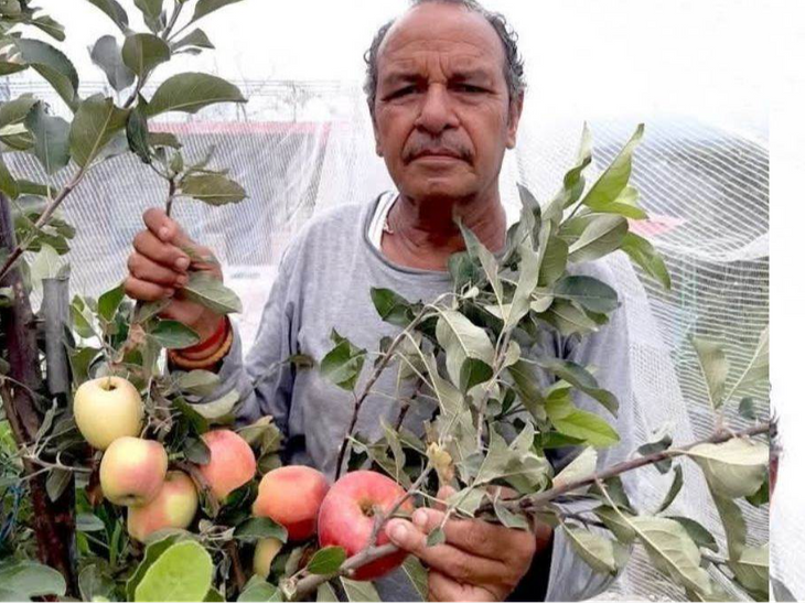 Himachal apple orchardist Hariman Sharma Padma Shri Award Bilaspur