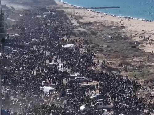 3 lakh Palestinians returned to North Gaza | नॉर्थ गाजा में लौटे 3 लाख फिलिस्तीनी: इजराइल ने वापसी की मंजूरी दी; गाजा में शवों को निकाल रही रेड क्रॉस