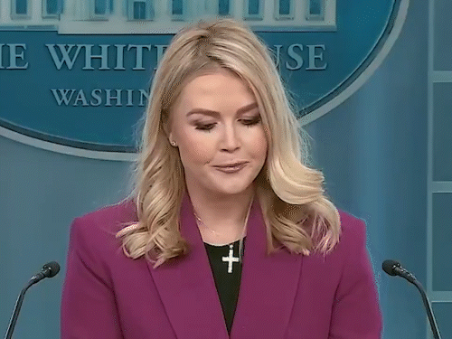 Social media influencers will appear at Trump’s press briefing | ट्रम्प की प्रेस ब्रीफिंग में आएंगे सोशल मीडिया इन्फ्लुएंसर्स: व्हाइट हाउस कंटेट क्रिएटर्स को सीट देगा, सेक्रेटरी बोलीं- 2025 का व्हाइट हाउस बना रहे