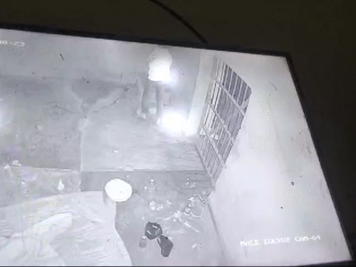 हाजत में बाइक लूट के आरोपी के सुसाइड का VIDEO:  3:31 पर उठकर टॉयलेट किया, 3:35 पर फंदे से झूला; तपड़पता रहा… 3:38 पर हुआ शांत – Muzaffarpur News