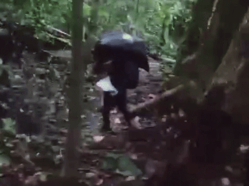 US Deportation; Haryana Karnal Kurukshetra Immigrant Paramjit Return Story | Donkey Route | डंकी रूट से अमेरिका पहुंचे हरियाणा के दंपती की कहानी: ​​​​​​​डोंकरों ने पत्नी-बच्चों को पीटा, करंट लगाया, मैक्सिको बॉर्डर पर जबरन धकेला; सवा करोड़ गंवाए – Kurukshetra News