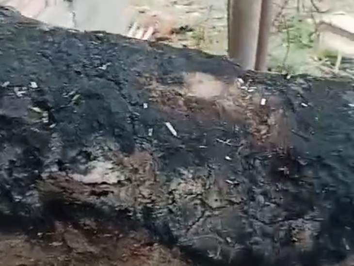 Due to fire in cattle shed, fodder was burnt to ashes | पशु बाड़े में ...
